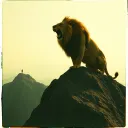 Lion’s don't die