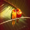 I choose you forever