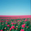 В платье длинном