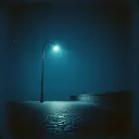 Lonely Nights
