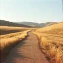 Clear path