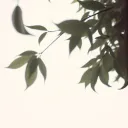 Endless Fall