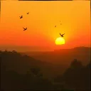 Toda la Tierra lo Alabará
