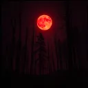 Dark paradise 