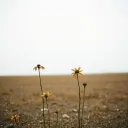 Nothing Left To Keep