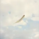 Comme une plume dans le vent