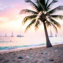 Jhea By The Shore