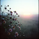 Sensitive