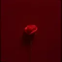 Last Caress