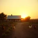 Three Acres and a Dream