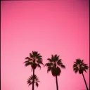 California Must Be Nice