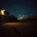 From The Ground Up