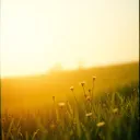 Today Feels Like Light
