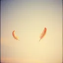 Weightless