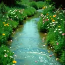 River Run
