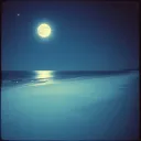BAJO LA LUNA TDGM