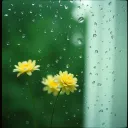 The nature of rain
