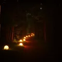 Walk With Me