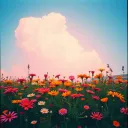 “Floreces en Mí”