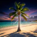 STAR - "TROPICAL LOVE" 8D