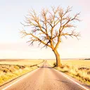 From Back Roads to Blessings