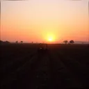 Hands of the Land