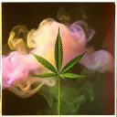 Legalize RMX