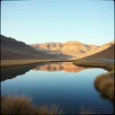 The mirror