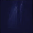 Voices in My Head