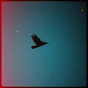 Black Raven