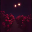 Bed of Roses