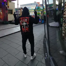 Fly_C67
