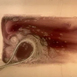 booooooo