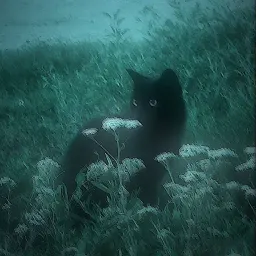 Mrsawyou_666