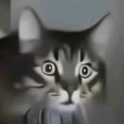 Pejster