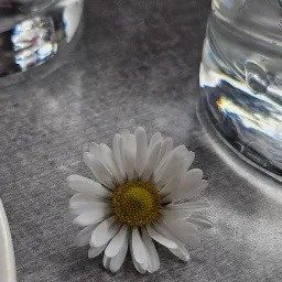Noises_of_the_soul
