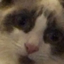 Bennythesixt