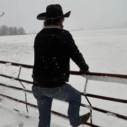dutchwrangler