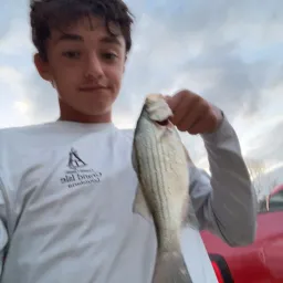yoboiismitty24