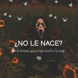TesitodeCalzon