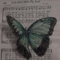 MusicIsLifeLove