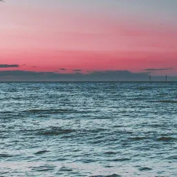 Neo-SoulTune742
