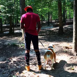 SammyTarantino
