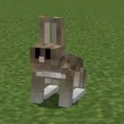 Ninjo