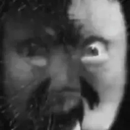 vid