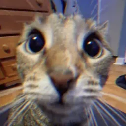 EchoQuill