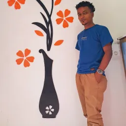 Ross26