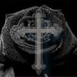 UnusuaIRose