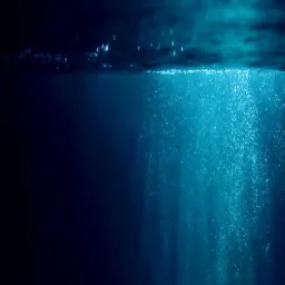 DarkTrenches