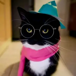 ZadieFox